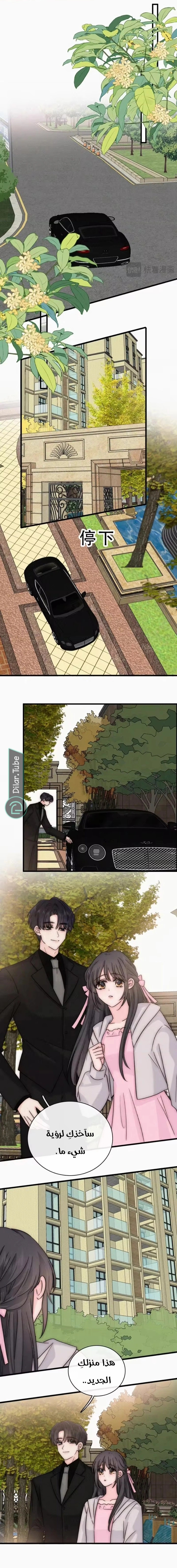 الصفحة 5