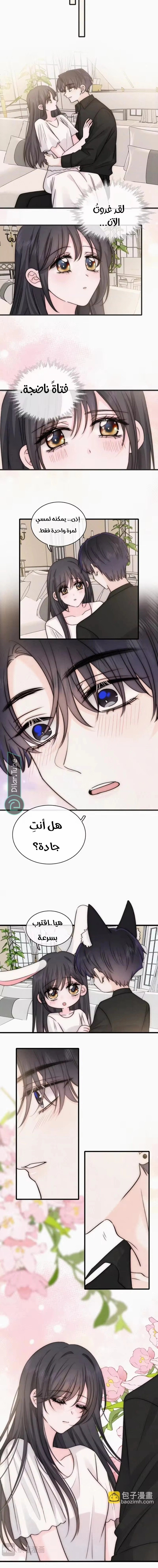 الصفحة 3