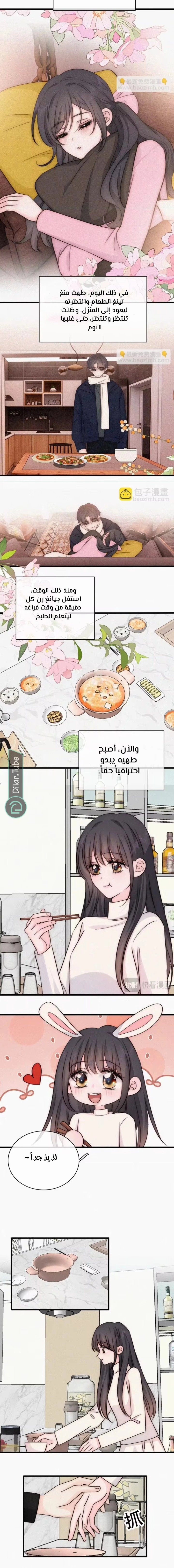 الصفحة 3