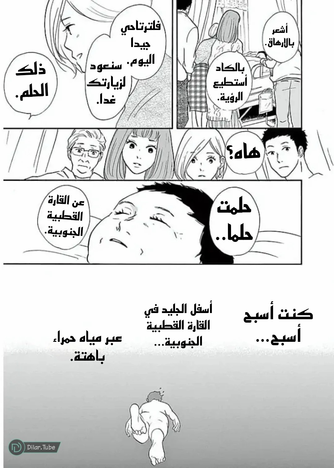 الصفحة 13