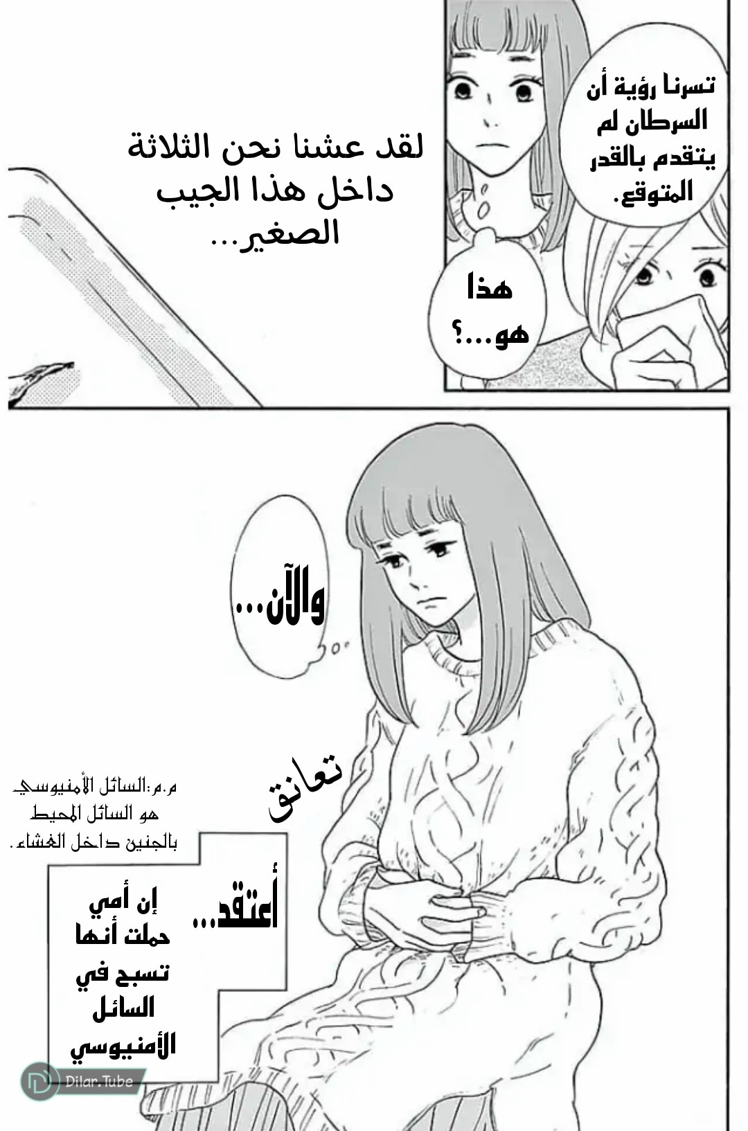 الصفحة 15