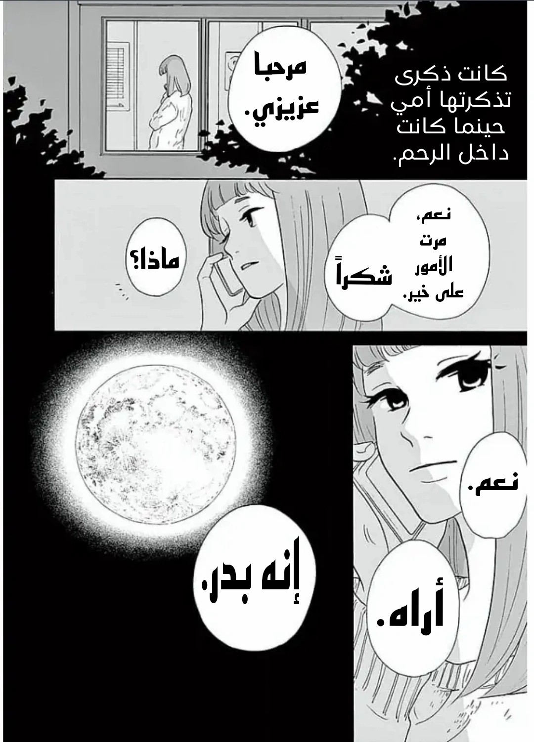 الصفحة 16