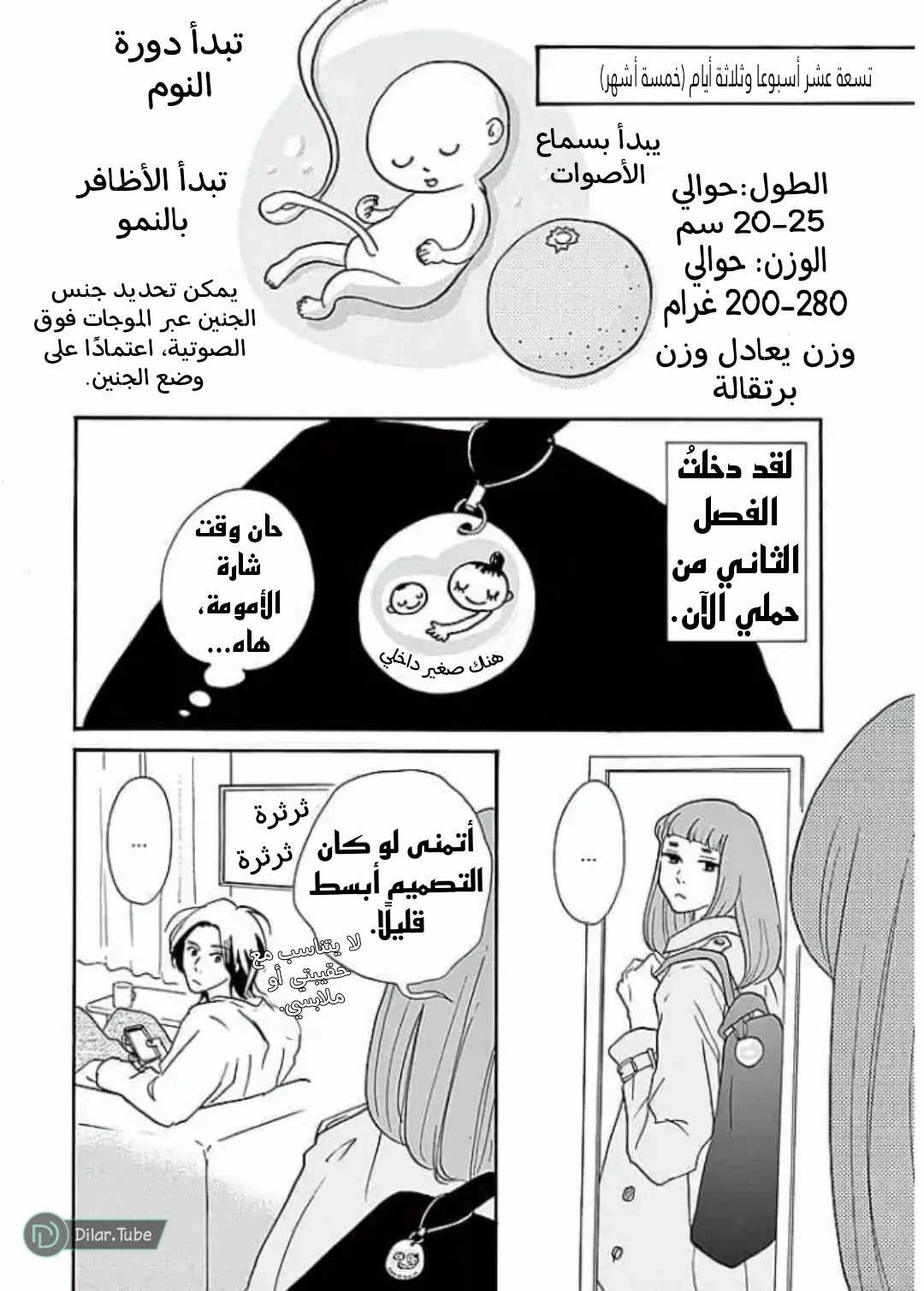 الصفحة 2