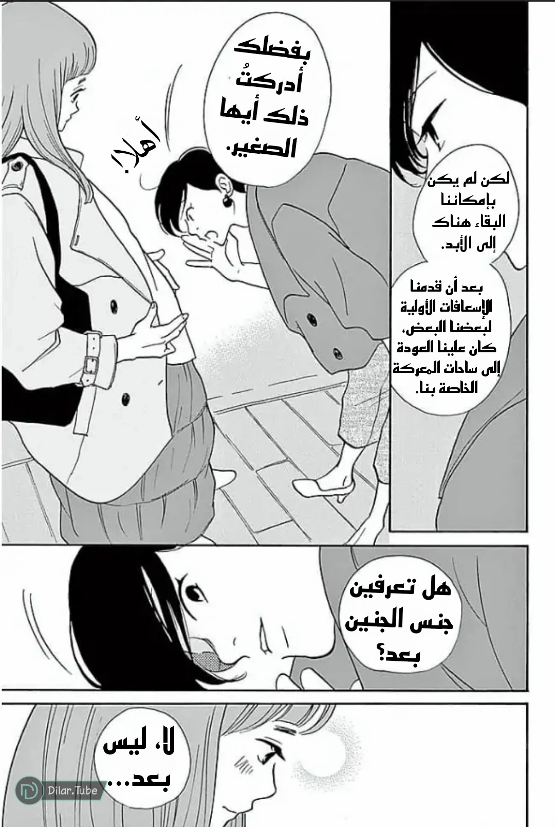 الصفحة 13