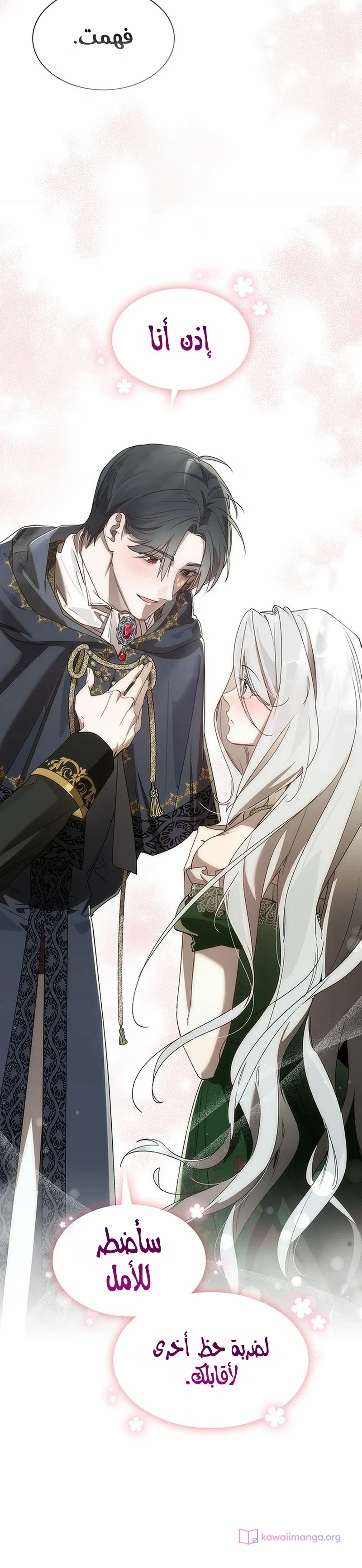 الصفحة 19