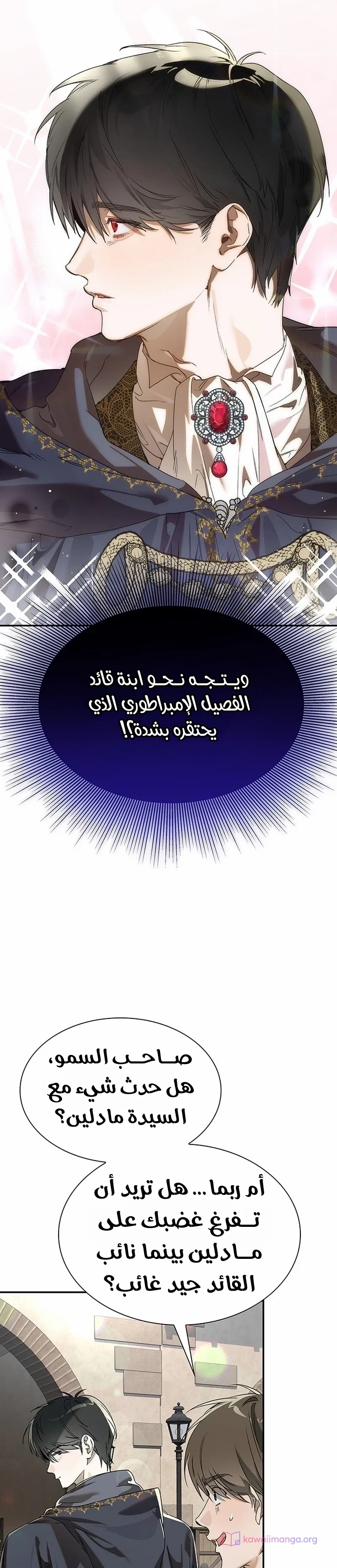 الصفحة 29