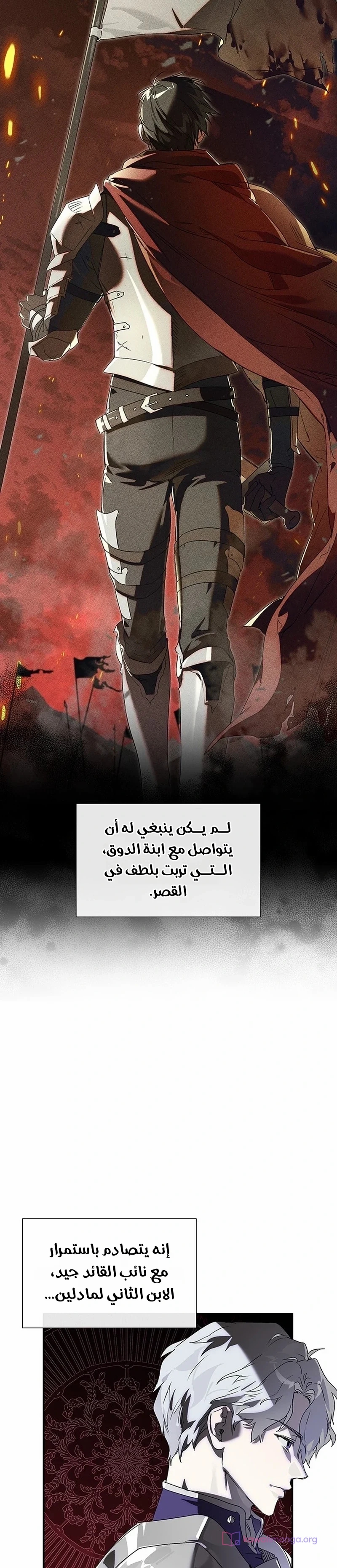 الصفحة 31