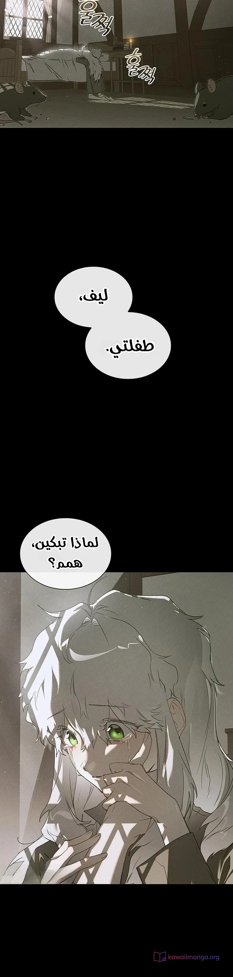 الصفحة 2