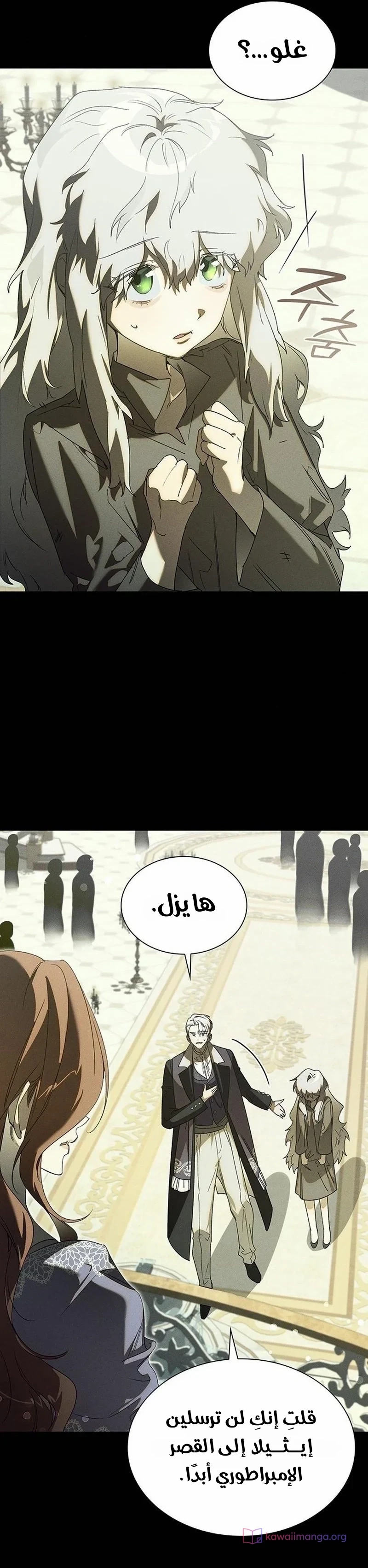 الصفحة 17