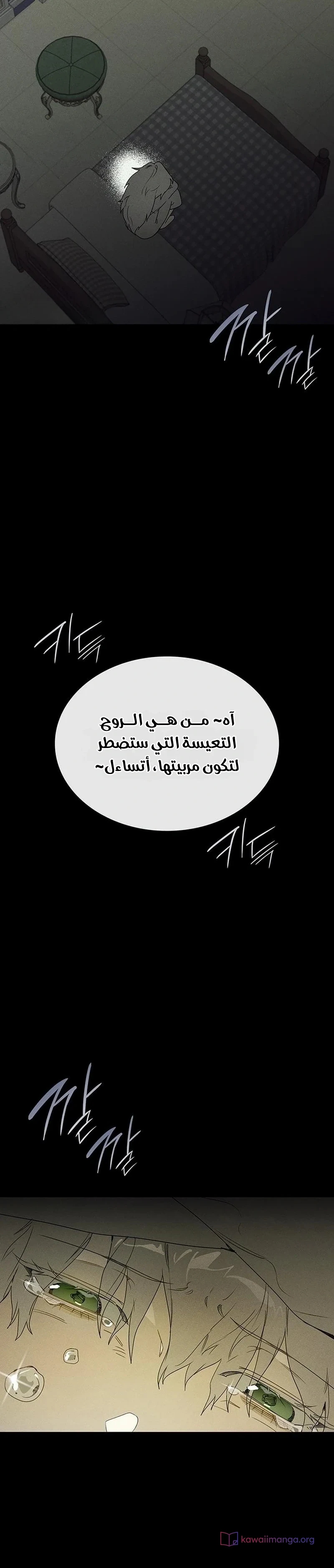الصفحة 24