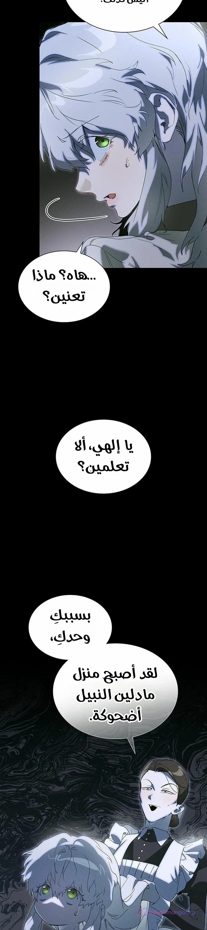 الصفحة 27