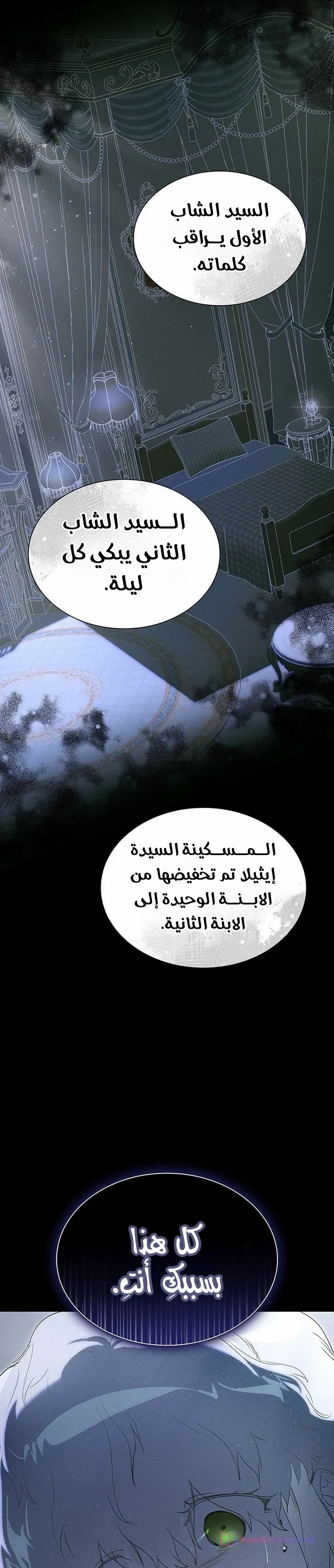 الصفحة 29