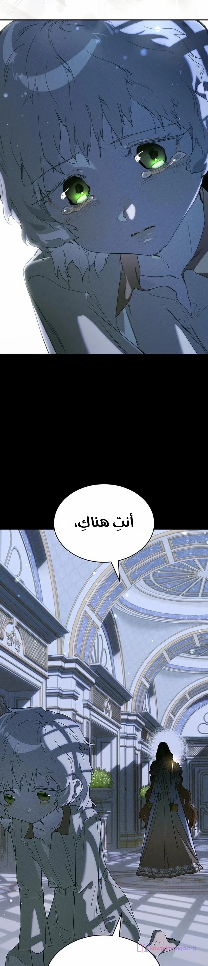 الصفحة 41