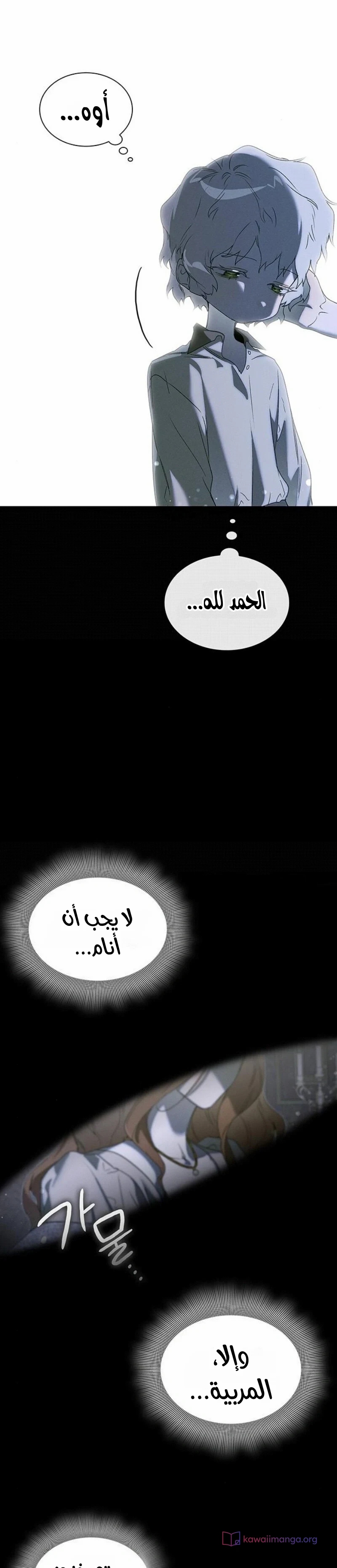 الصفحة 13