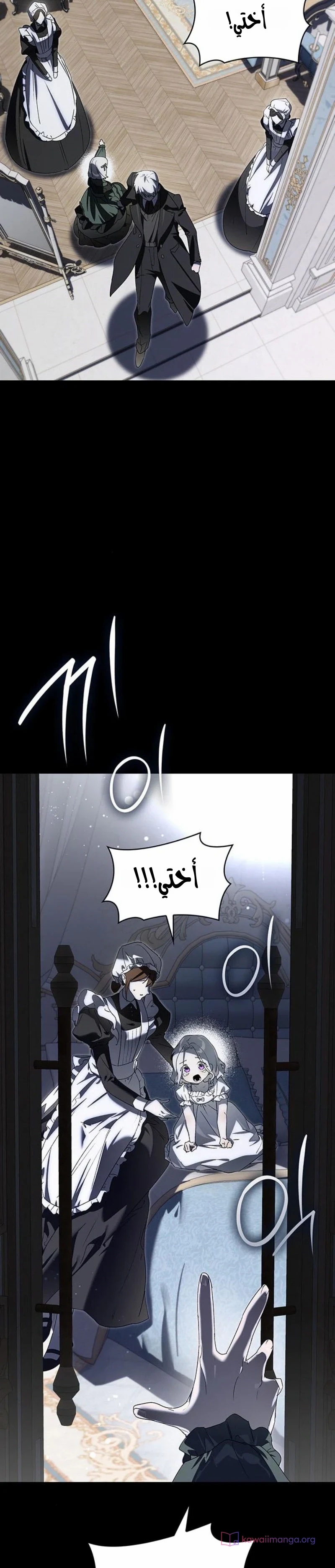 الصفحة 11