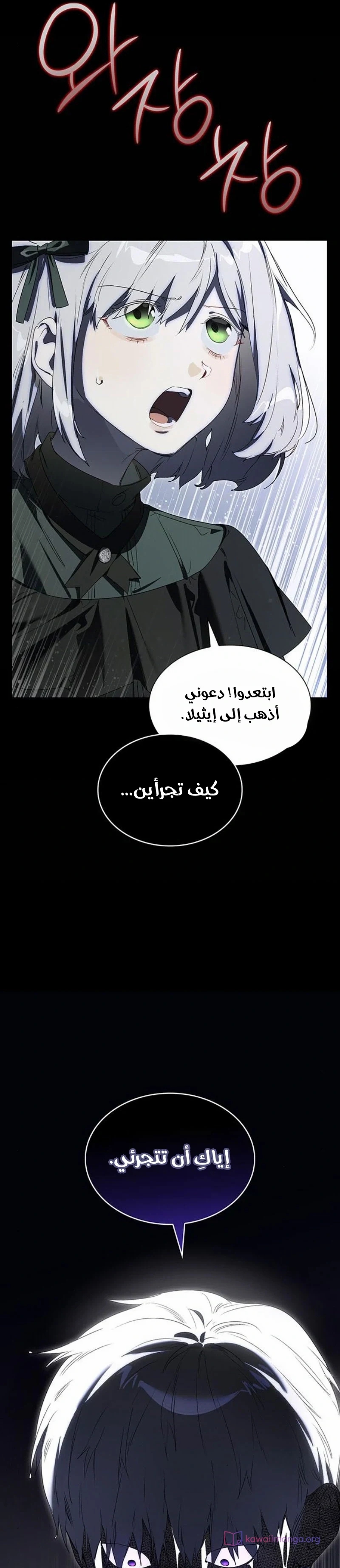الصفحة 13