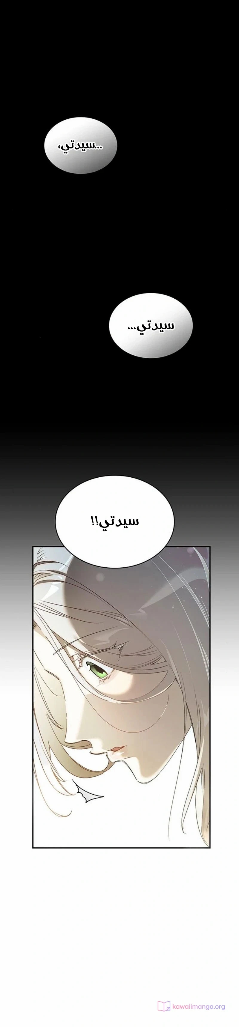 الصفحة 24