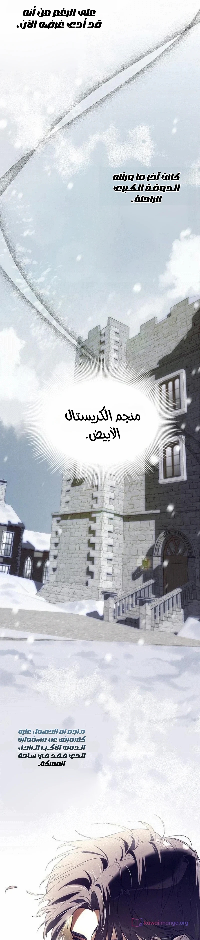الصفحة 31