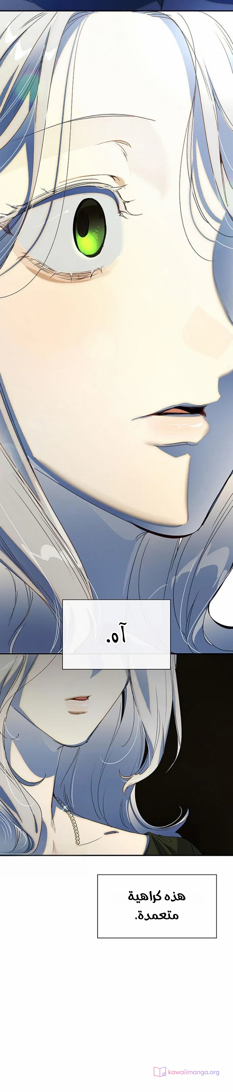 الصفحة 16