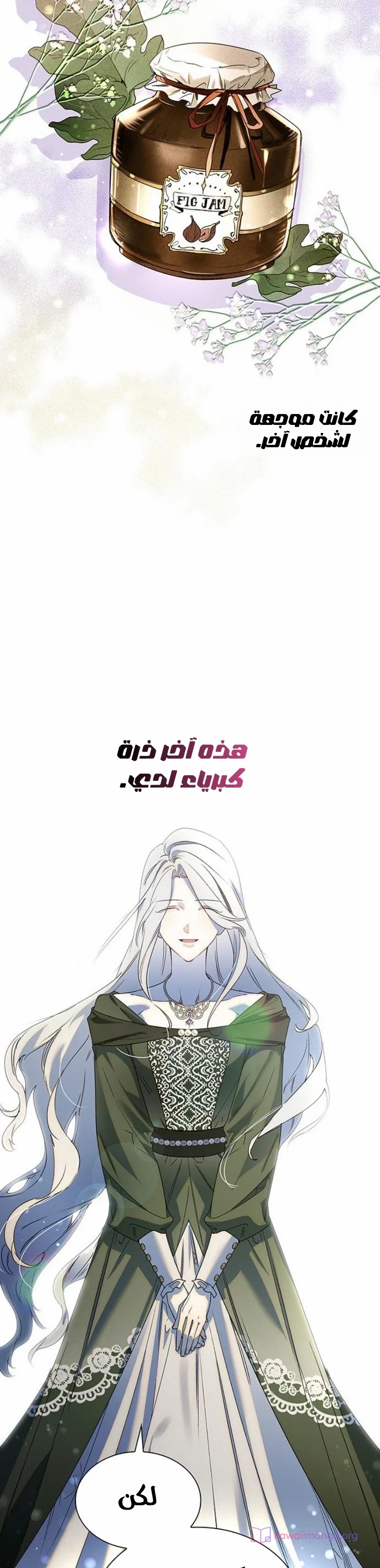 الصفحة 26