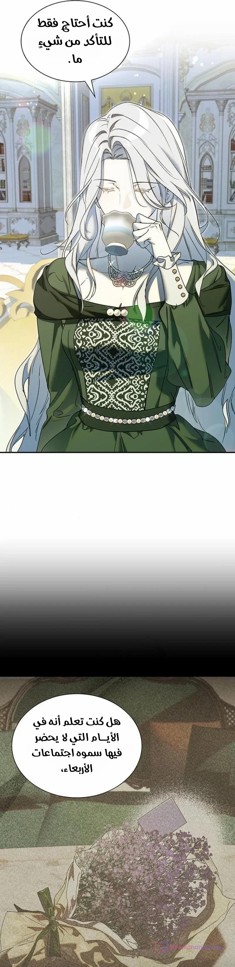 الصفحة 17