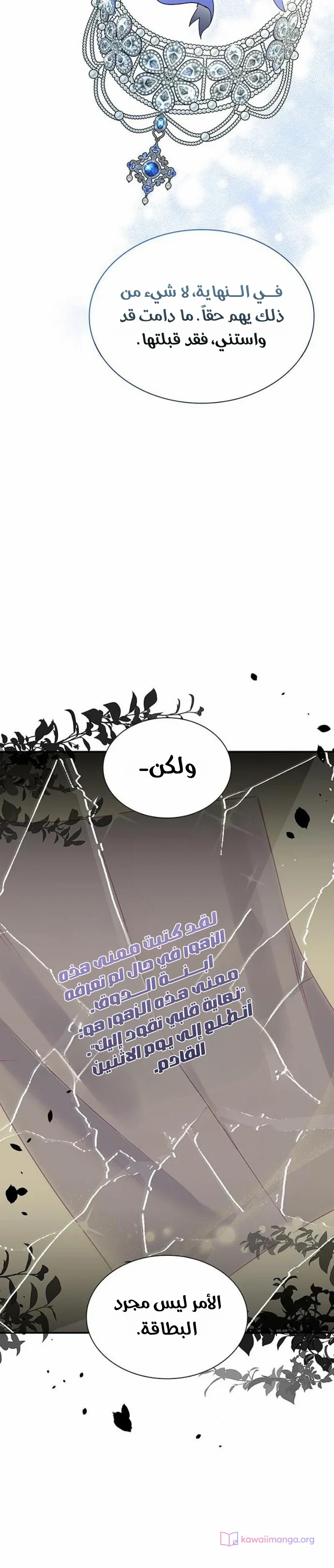 الصفحة 24