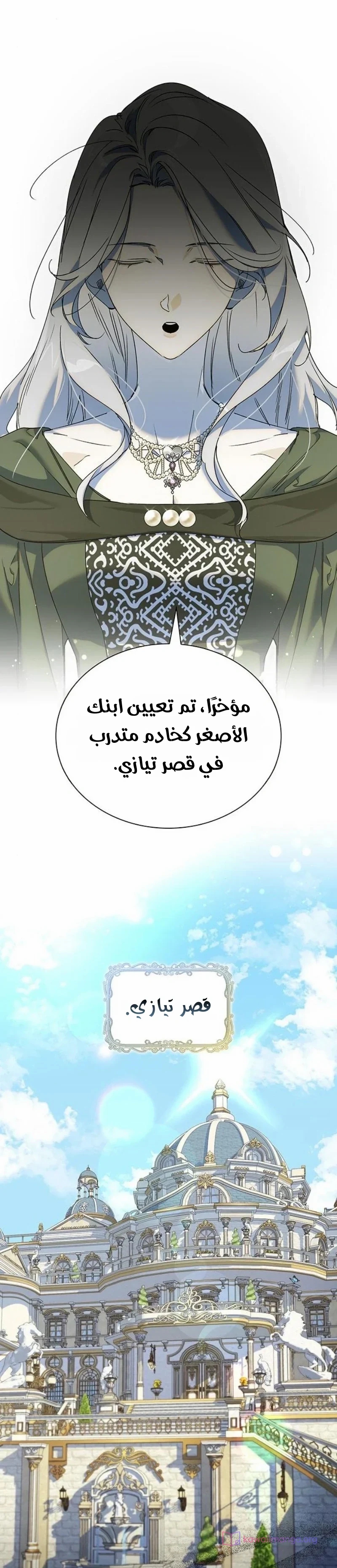 الصفحة 25