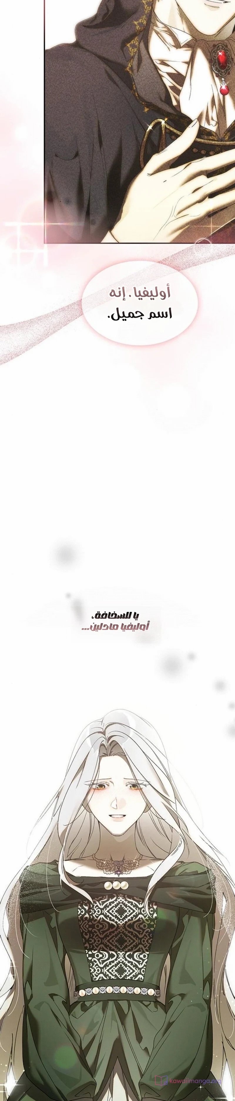 الصفحة 27