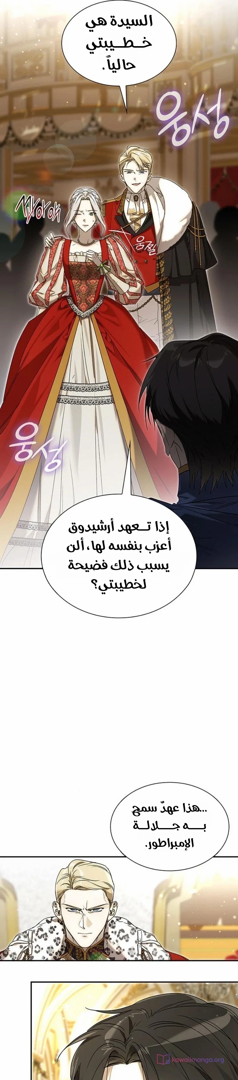 الصفحة 17