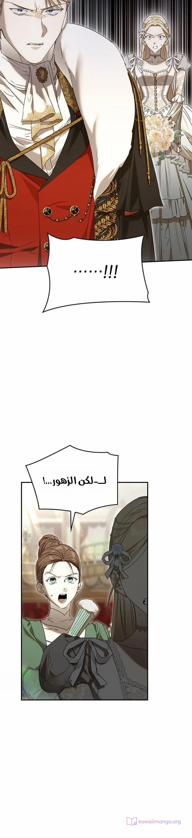 الصفحة 28