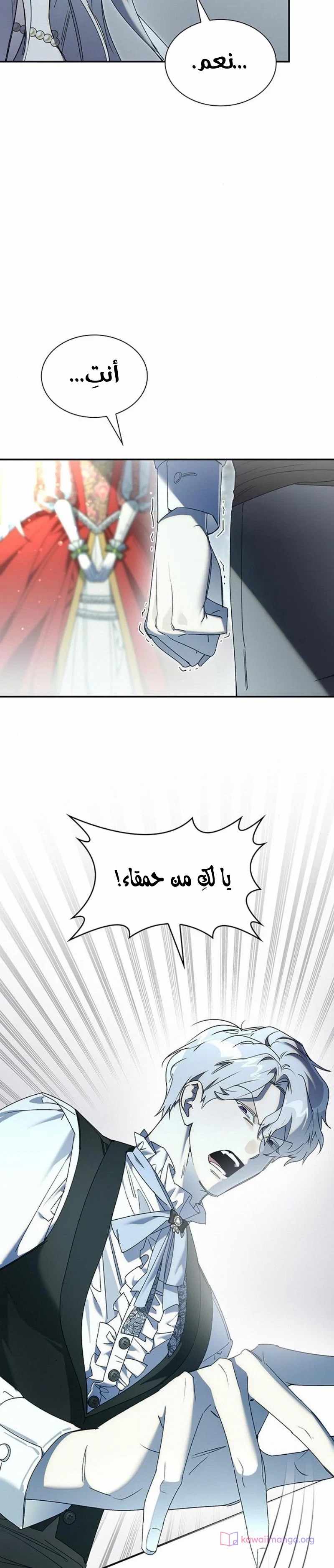 الصفحة 11