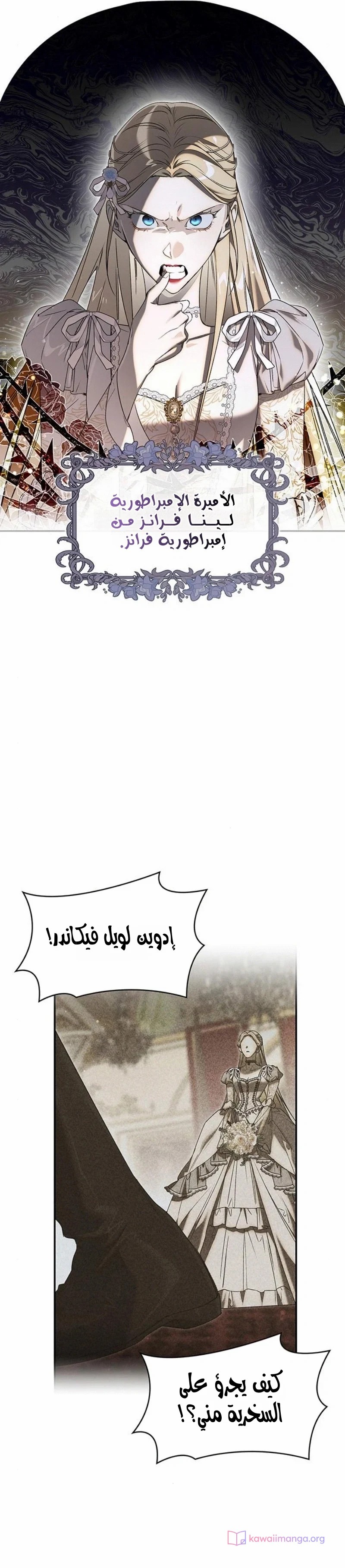 الصفحة 17