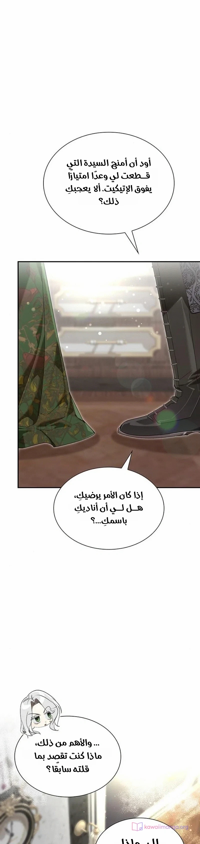 الصفحة 17