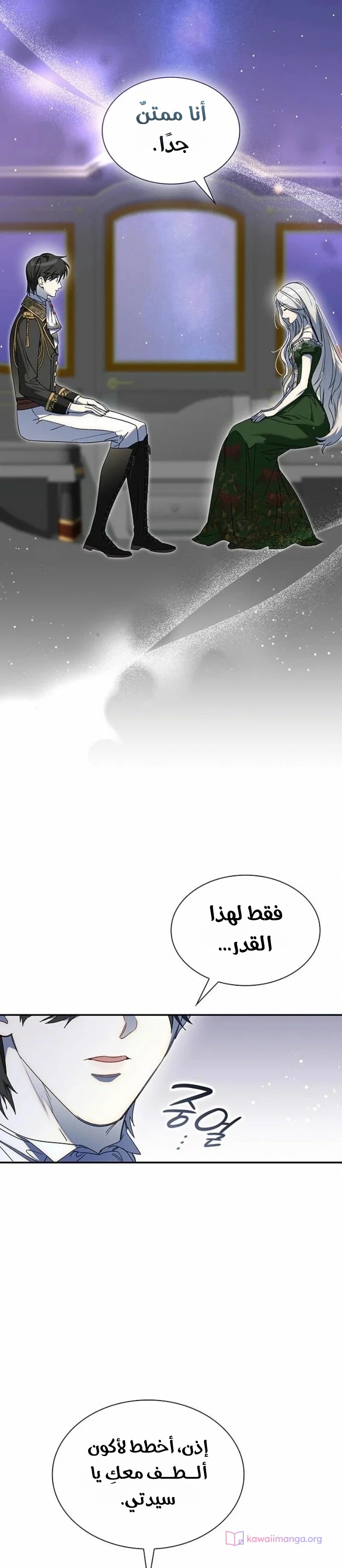 الصفحة 17
