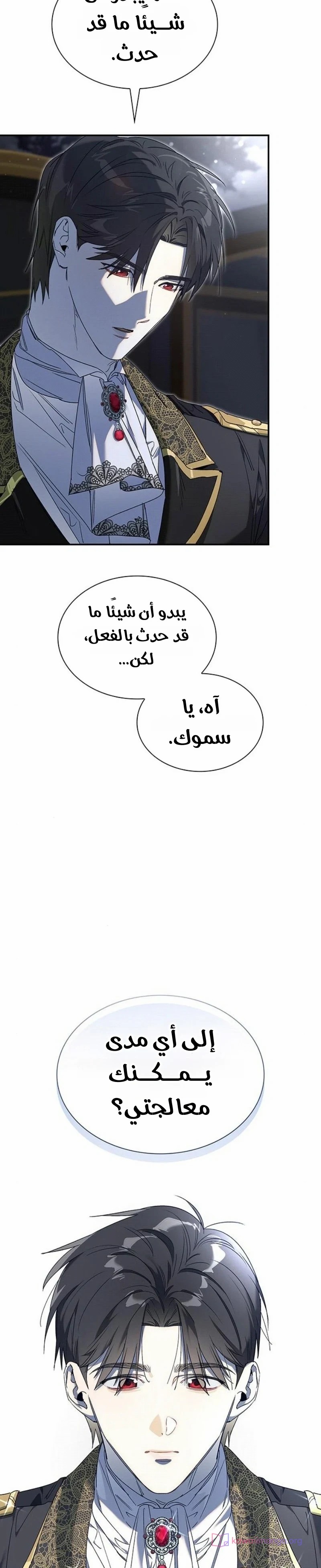 الصفحة 17