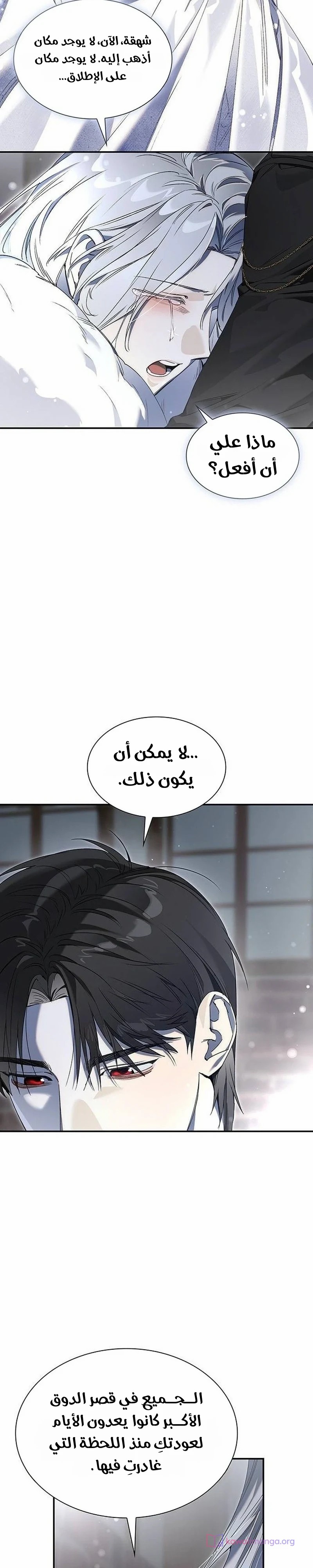 الصفحة 26