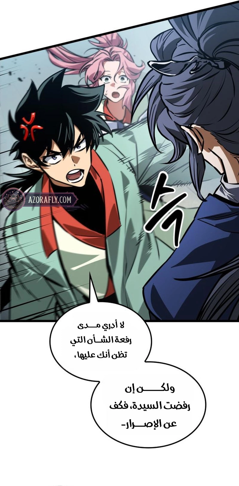 الصفحة 17