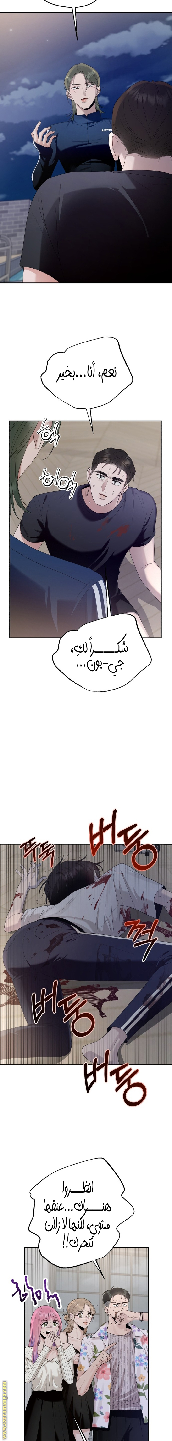 الصفحة 12