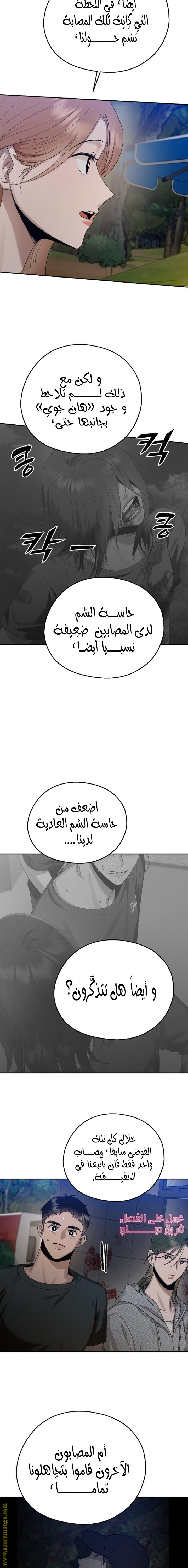 الصفحة 17