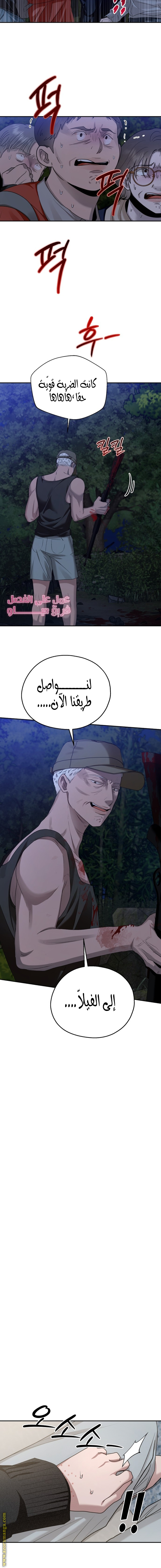 الصفحة 17