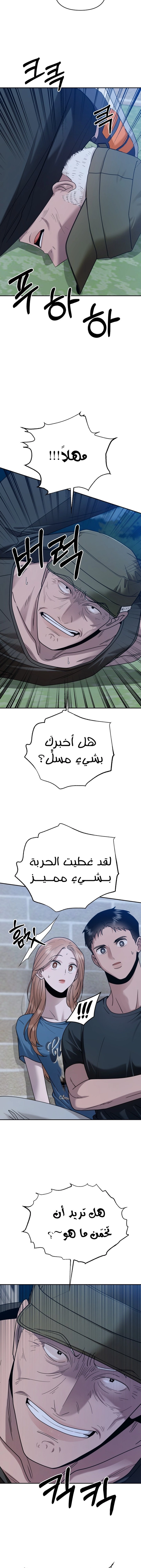 الصفحة 17