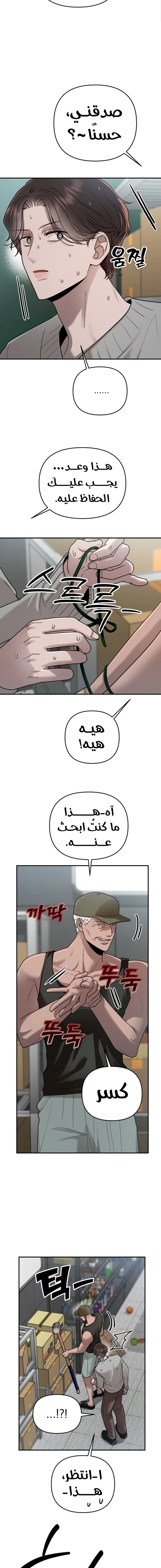 الصفحة 14