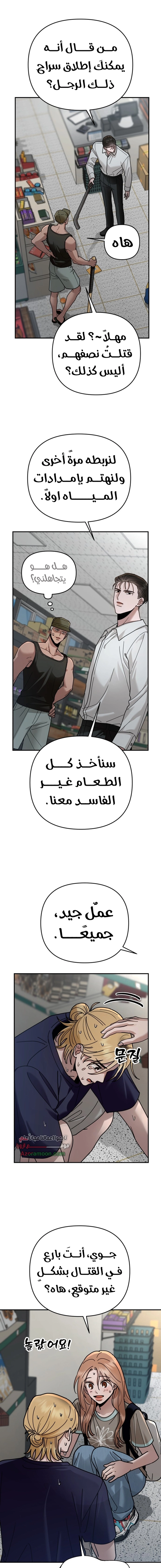 الصفحة 17