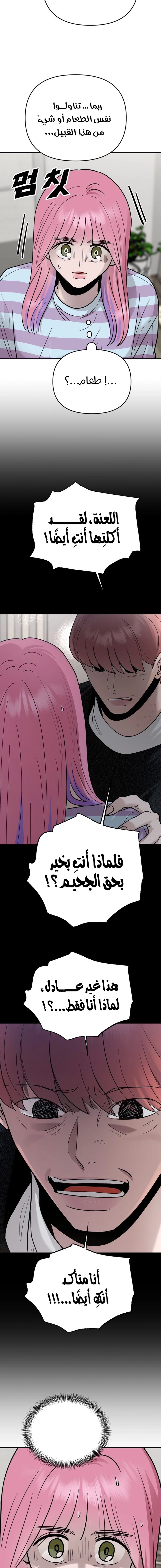 الصفحة 13