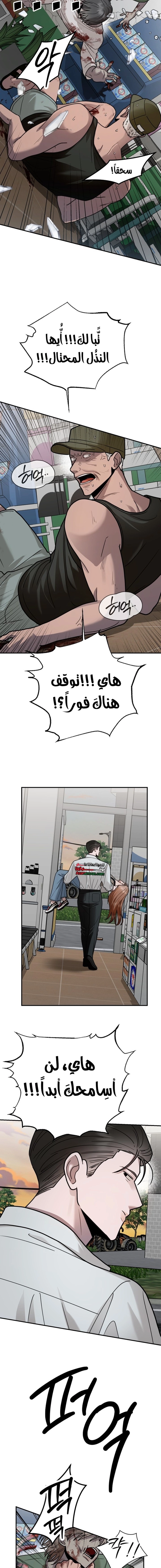 الصفحة 17