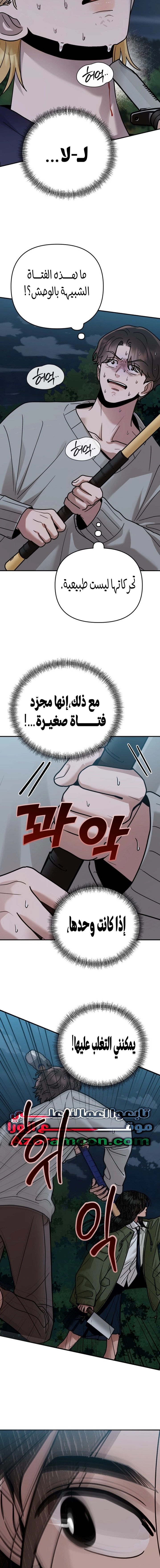 الصفحة 11