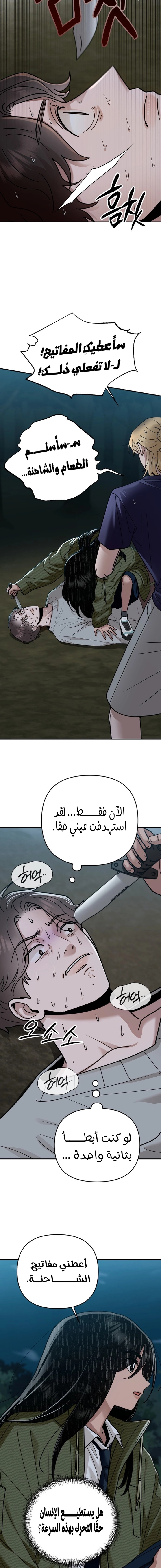 الصفحة 13