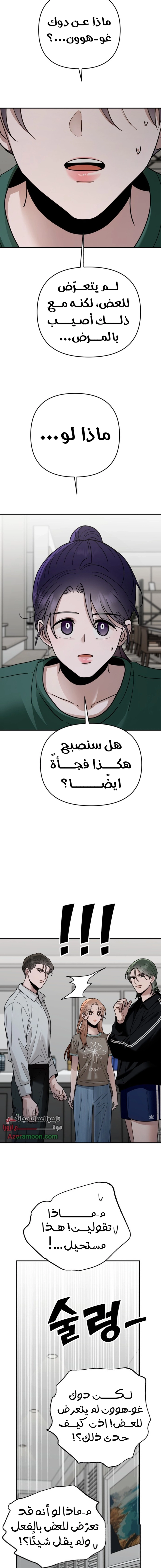 الصفحة 13