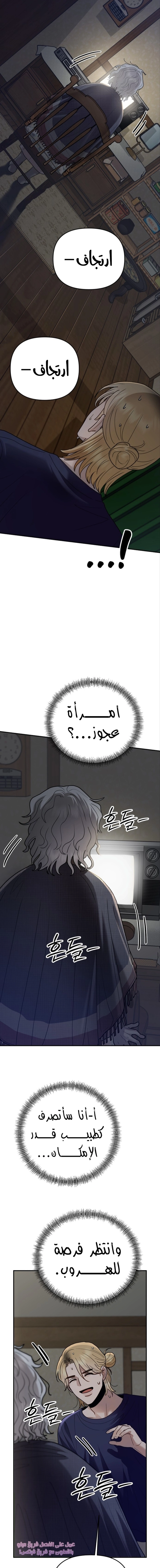 الصفحة 19