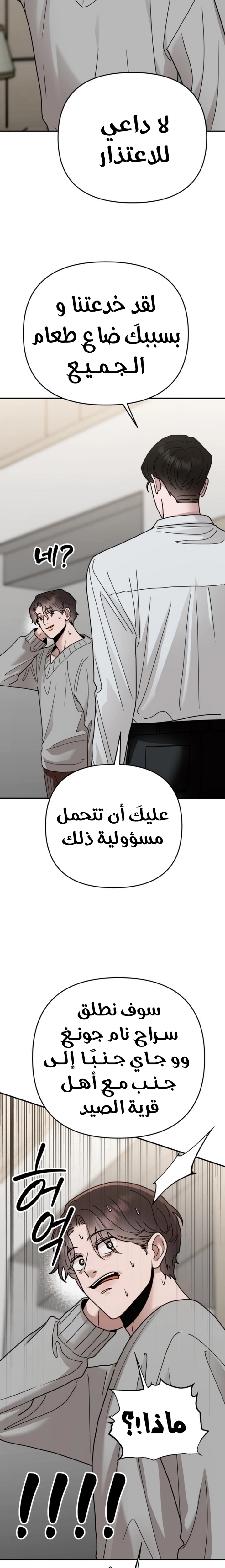 الصفحة 17